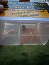 Load image into Gallery viewer, Carpenter Bee Trap