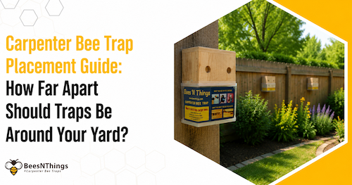 Carpenter Bee Trap Placement Guide: How Far Apart Should Traps Be Around Your Yard?