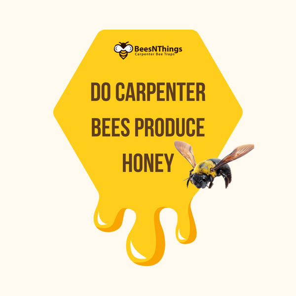 Do Carpenter Bees Produce Honey?