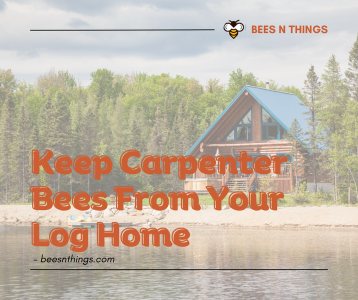Keep Carpenter Bees From Your Log Home
