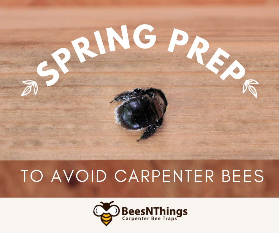 Spring Prep to Avoid Carpenter Bees