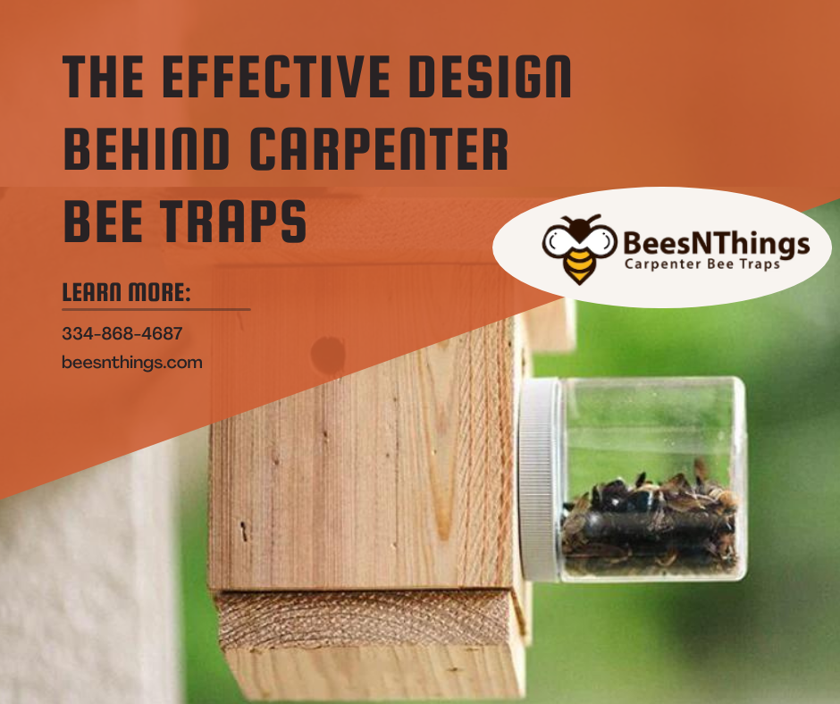 The Effective Design Behind Carpenter Bee Traps