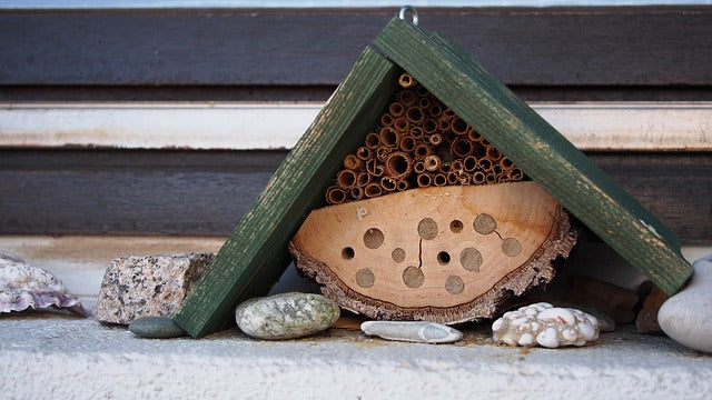 WHAT DO CARPENTER BEE NESTS LOOK LIKE?