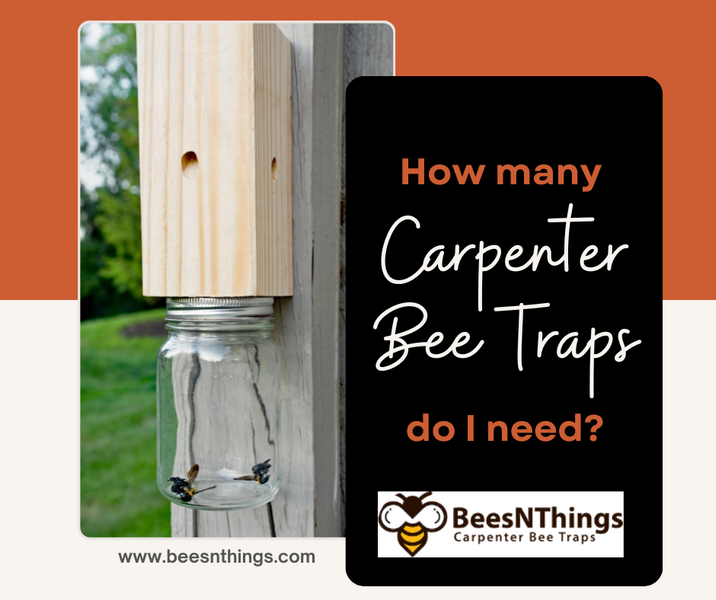 How Many Carpenter Bee Traps Do I Need?